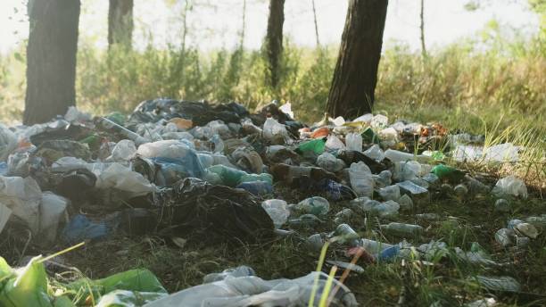 istock Different garbage and trash on a ground in the forest 2167780869