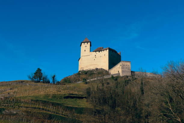 Switzerland's most frequently visited museum of cultural history represents our history from its origins to the present day. The Museum is located next o the Zurich Railway Main Station. The image shows the museum captured during summer season.