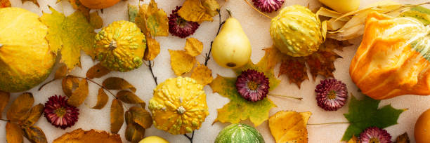 istock Background of various pumpkins and fallen leaves 2167783529