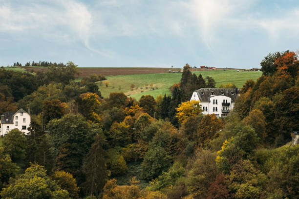 Several dwellings located among dense forest on hill slope