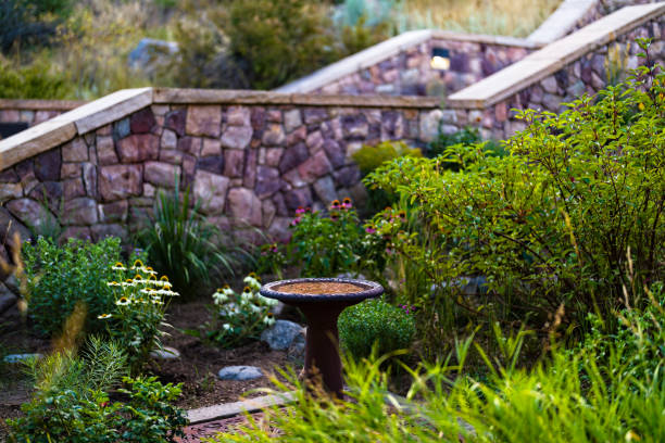 Bird Bath in Garden with No Birds - Scenic zen-like garden with bird bath with stone steps.