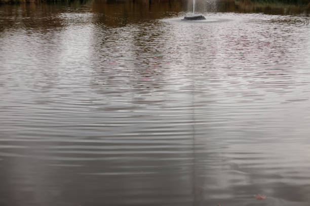 istock Quiet water with a fountain in a serene setting in Stromovka park Prague 2167789247