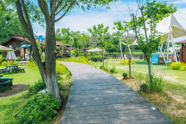 Coffee shop, outdoor, park