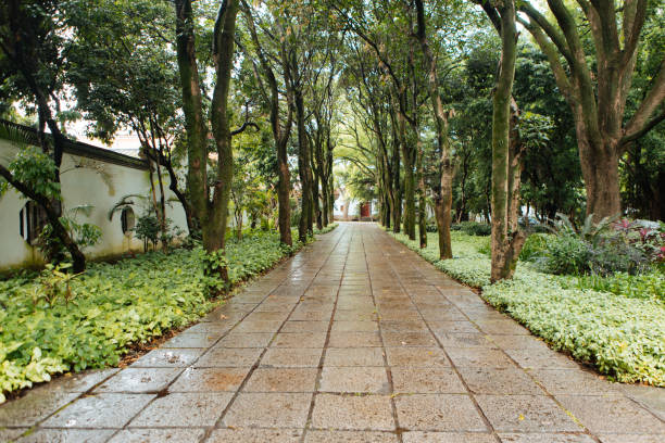 Rainy roads, Chinese culture, ancient architecture