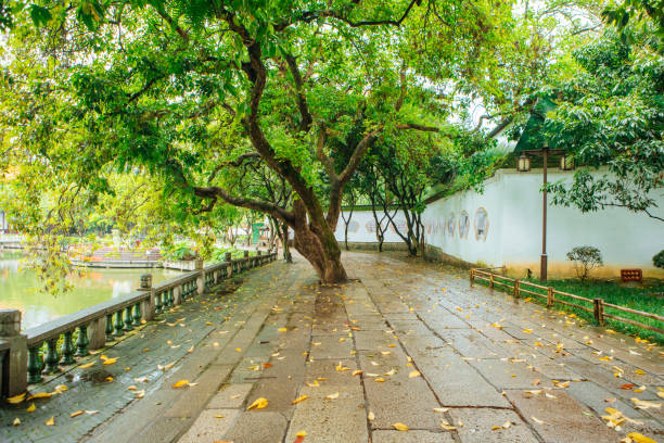 Rainy roads, Chinese culture, ancient architecture