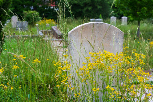 istock Headstones and Flowers in Decatur Cemetery 2167794802