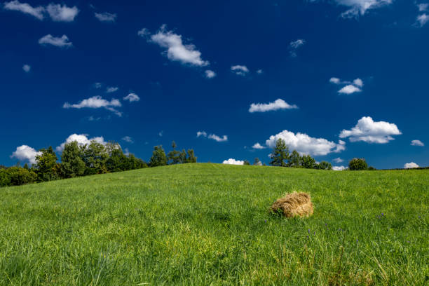 istock Green meadow in the mountains, hill covered with grass 2167801686