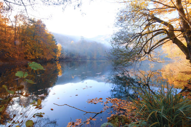 istock Autumn scene. Seven lakes Bolu Turkey 2167801879
