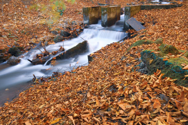 Autumn scene. Seven lakes Bolu Turkey