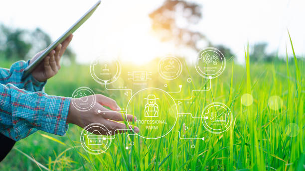 istock Farmers use agricultural technology in data analysis tablets and image icons. New technologies in agricultural business concepts. Men use tablets to research and develop plant varieties, agricultural 2167802595