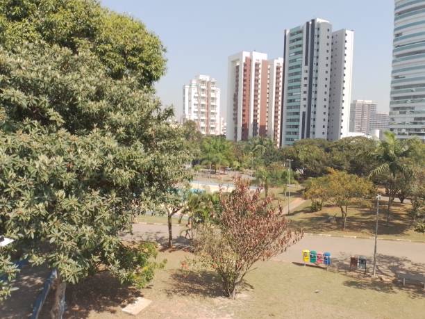 istock Sao Paulo Ceret Park 2167803551