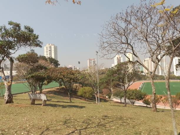 istock Sao Paulo Ceret Park 2167803981