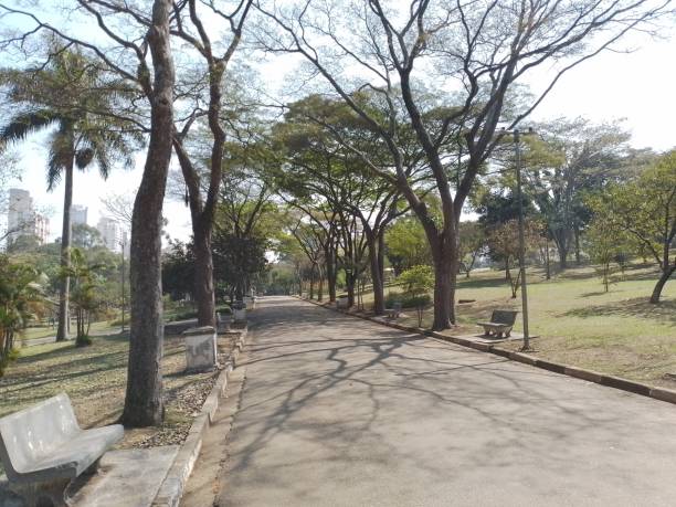istock Sao Paulo Ceret Park 2167804639