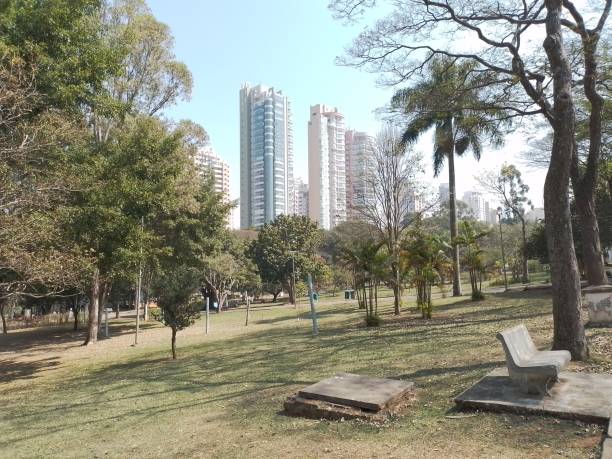 istock Sao Paulo Ceret Park 2167804645