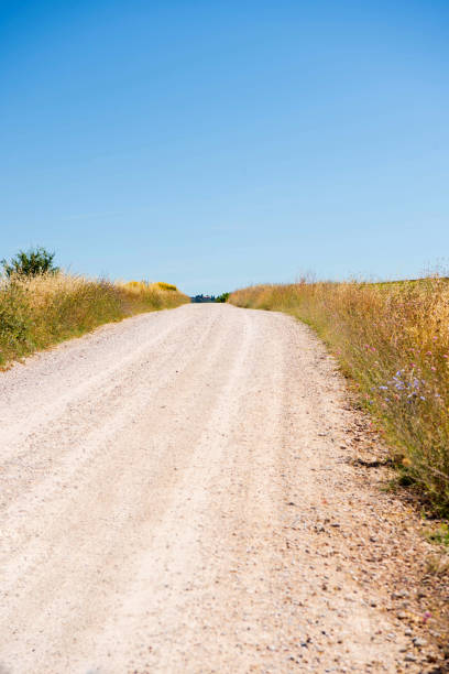 Empty Gravel Road in Tuscany