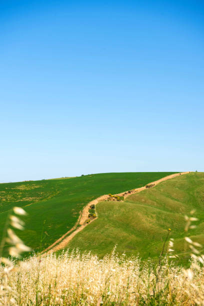 Cultivated Green Hills in Tuscany, Val d'Orcia