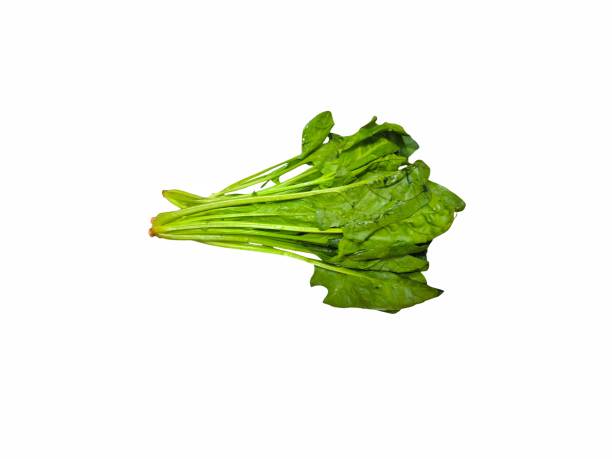 istock Fresh organic spinach isolated on white background. Spinacia oleracea. Vegetable concept 2167806883