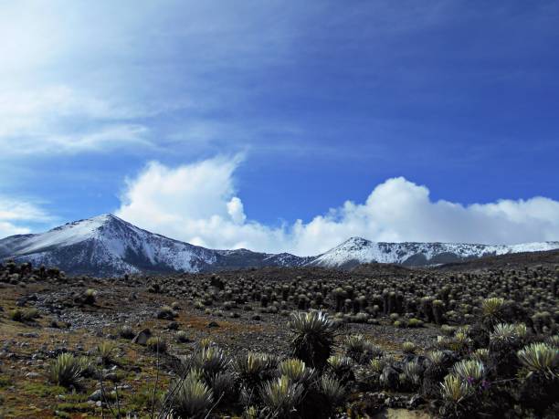 istock The Echo of the Mountains 10 2167809160