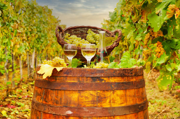 istock white wine and basket with grapes autumn season 2167809794