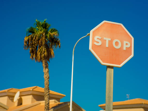 Stop sign, blue sky and a palm tree