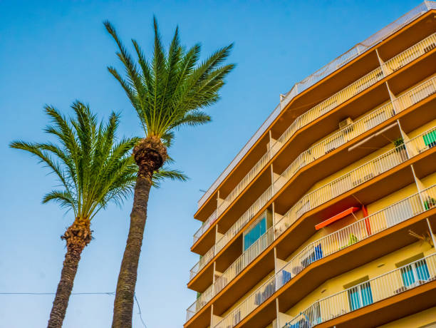 istock Two palm trees and some tourist apartments. 2167810608