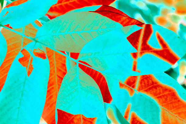 leaves texture, background, close-up. neon colors.