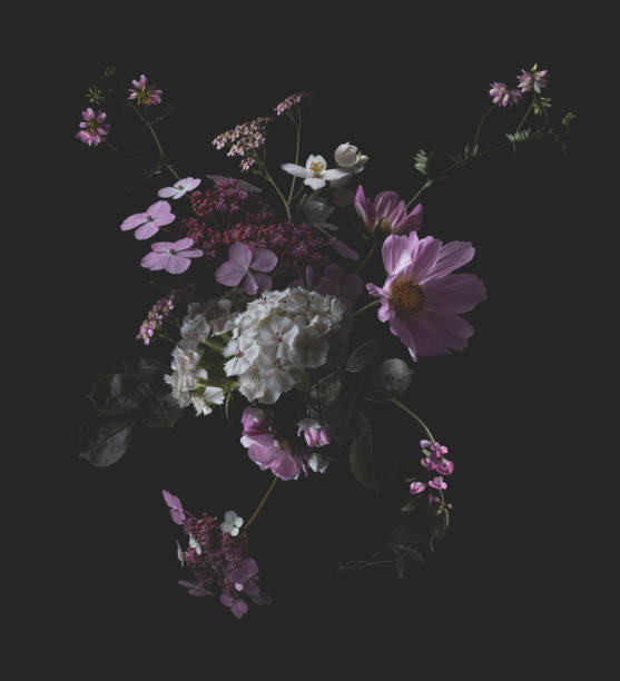 istock cloud like dark moody floral bouquet isolated on a black background 2167815544