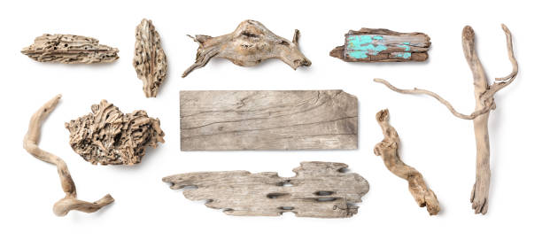 istock various pieces of driftwood isolated over white, beach finds, isolated summer design elements 2167815952