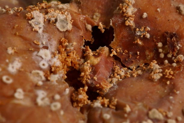 The texture of a rotten apple in a macro photo