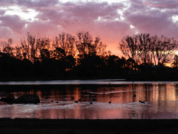 Sunset lake and trees in silhouette