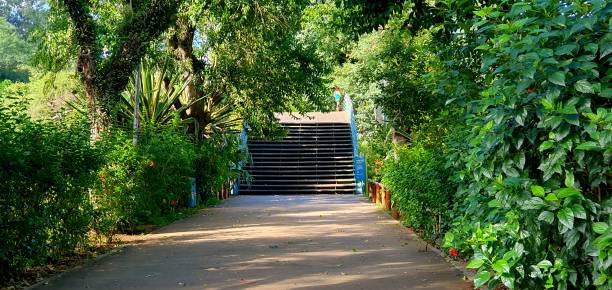 istock A bridge in a park surronded with trees person 2167821147