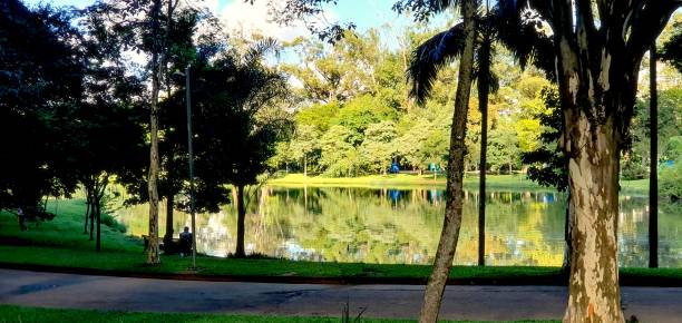 istock Beateful Lake in a park sun 2167821183