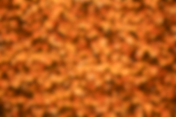 Blurred autumnal park background with orange leaves