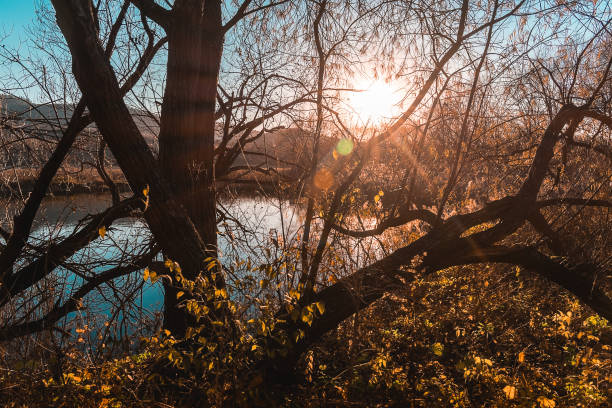 A peaceful autumn sunset over a lake in the forest. A feeling of coziness, calm, happiness, freedom and relaxation. An escape from the hustle and bustle.