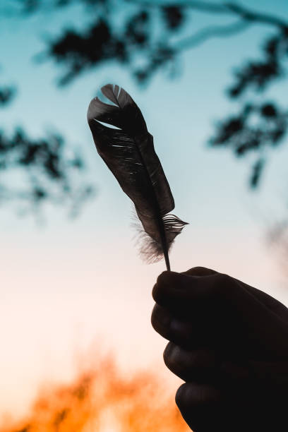 istock A hand holds a bird feather found in the forest. 2167827376