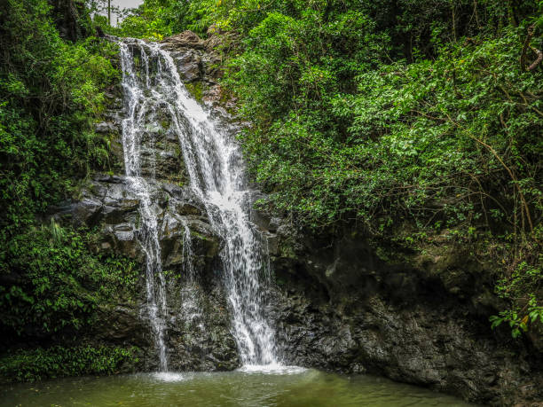 istock Oahu Waterfall and Pool Surrounded by Green Tropical Foliage 2167827842