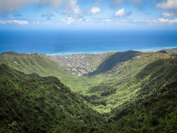 A picturesque view of an Oahu valley stretching towards the ocean, with a lush green landscape leading to the horizon where the blue waters meet the sky.