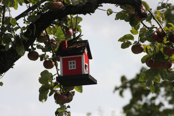 A hand-painted birdhouse with a vibrant red roof and illustrations of birds, perched outdoors with a lush green background