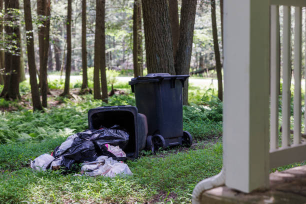 Overturned trash cans and scattered garbage bags litter a grassy area near a wooded backyard in the Poconos region of Pennsylvania. The mess, caused by foraging wildlife, includes a large black County Waste bin and various plastic bags spilled across the lawn. This scene highlights the challenges of living near nature and the need for proper waste management in areas frequented by animals.