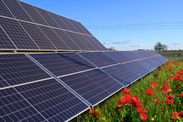 Solar panels