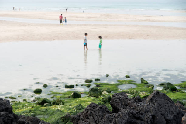 landscape in Jeju Island