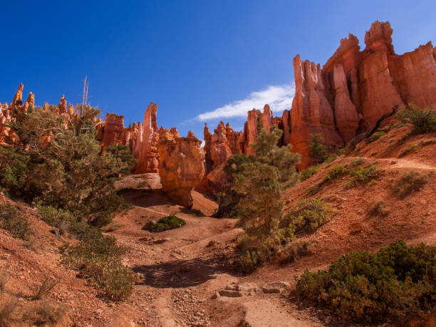 istock Path leading into the stone Formations in Bryce Canyon National Park, Utah, USA 2167836280