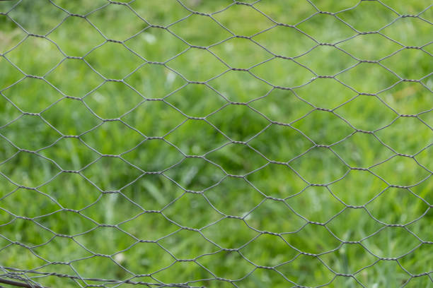 The intricate, hexagonal pattern of chicken wire, commonly used for securing poultry or creating garden boundaries. This mesh, typically made from galvanized steel, provides a durable and flexible barrier. The wire is twisted and interwoven to create a strong, stable structure while maintaining visibility and airflow. Green grass in an agricultural setting is blurred out in the background.