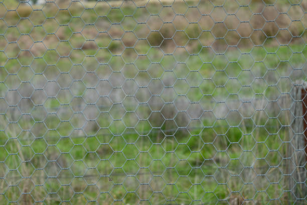 istock A close-up view of hexagonal-shaped chicken wire used as a protective fencing material with blurred green grass in the distance 2167836629