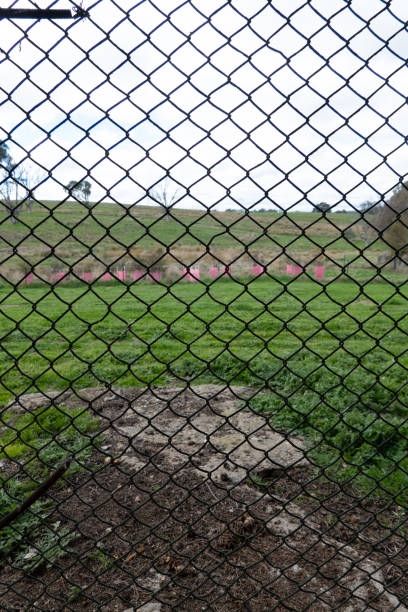 istock A close-up view of hexagonal-shaped chicken wire used as a protective fencing material with blurred green grass in the distance 2167836636