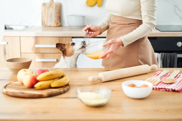 istock Dog assisting in the kitchen 2167838429