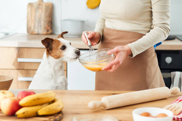 istock Dog and owner in kitchen 2167838434