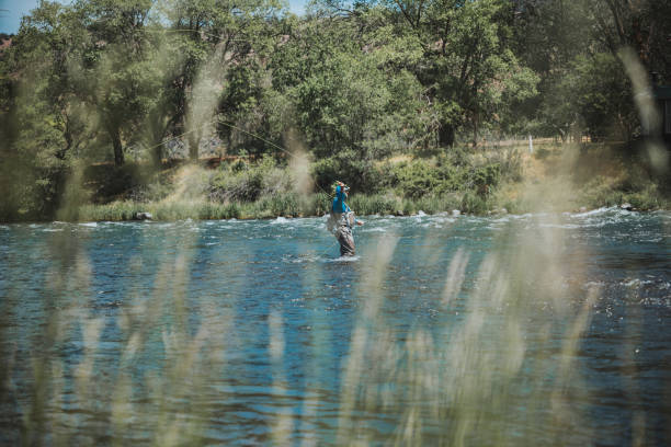 istock Adventurous man wades into river while fishing 2167840789