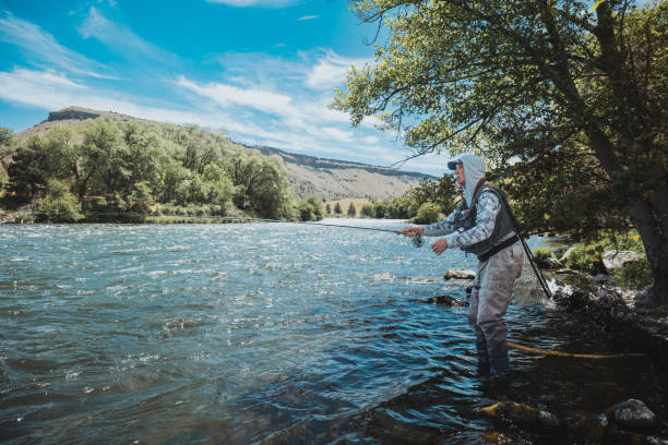 istock Man stands in the shallow river while fly fishing 2167840811