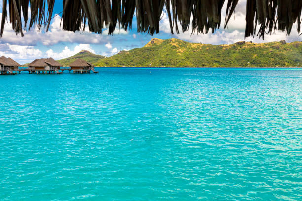 istock Bora Bora Island, French Polynesia. 2167841525